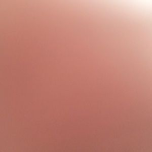 Meet your Posher, Rachael